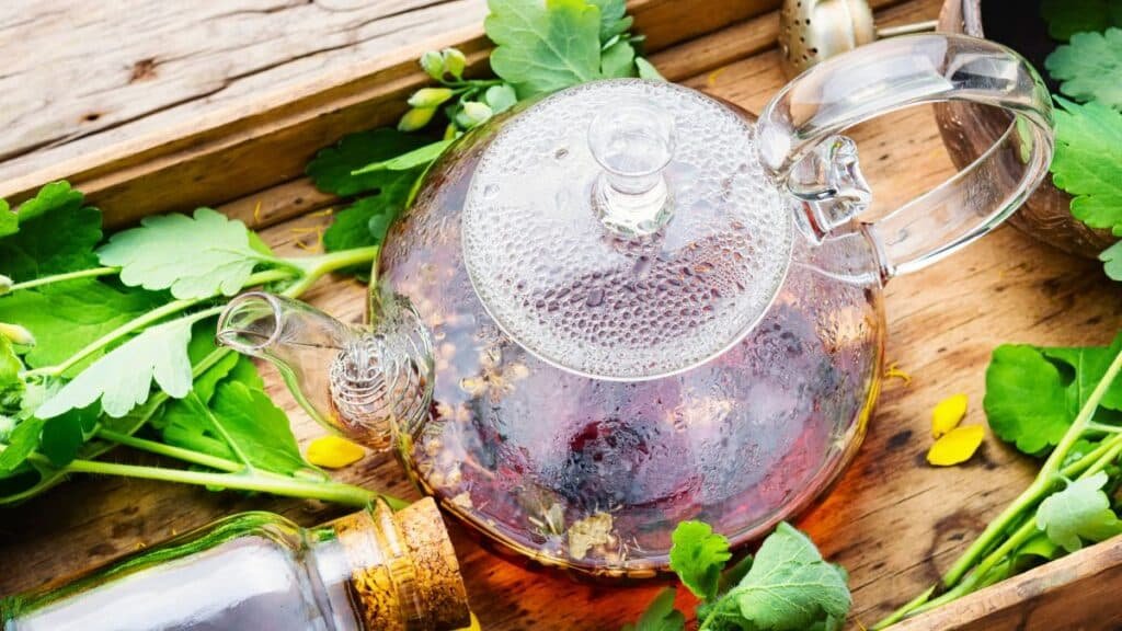 kombucha