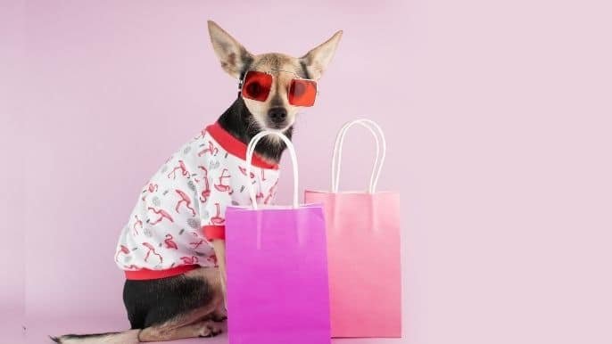 Agasalhos para Pets
